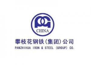 攀枝花钢铁（集团）公司